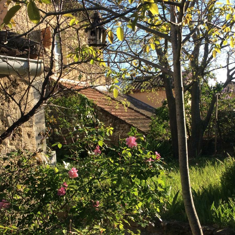 Maison Daumas Billard Francais Et Piscine Robion en Luberon Exterior foto